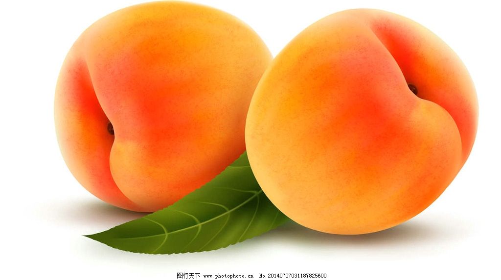 杏 水果 桃子 瓜果 食物 美食 餐饮美食 生活百科