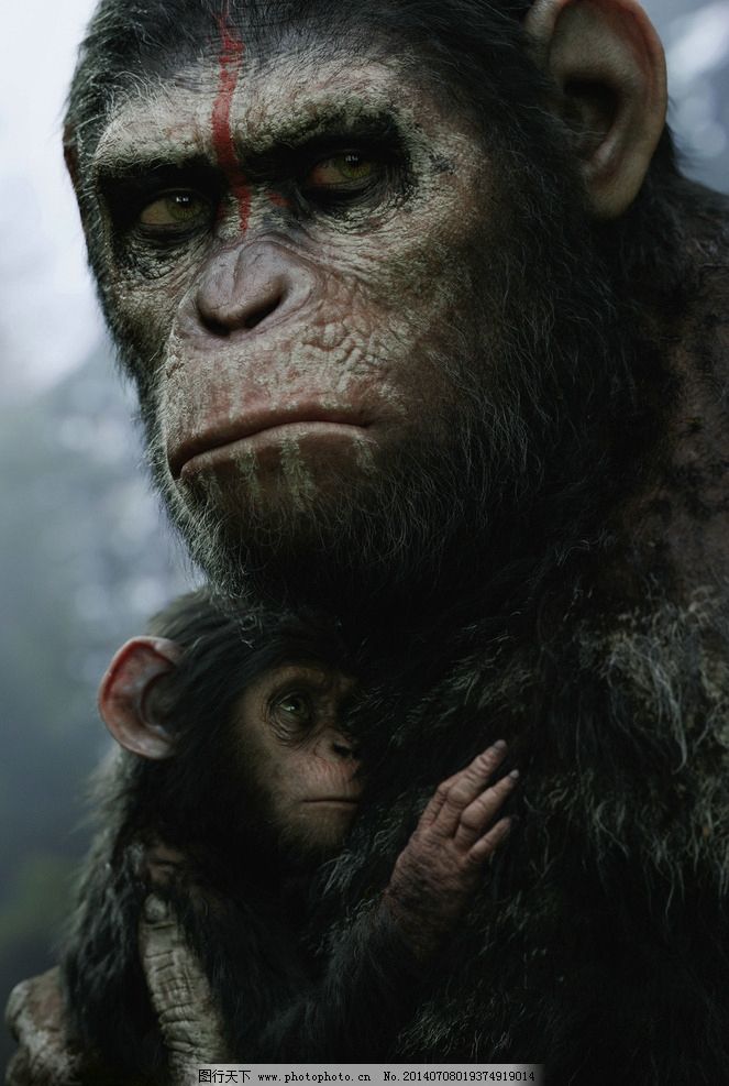 猩球崛起2黎明之战图片