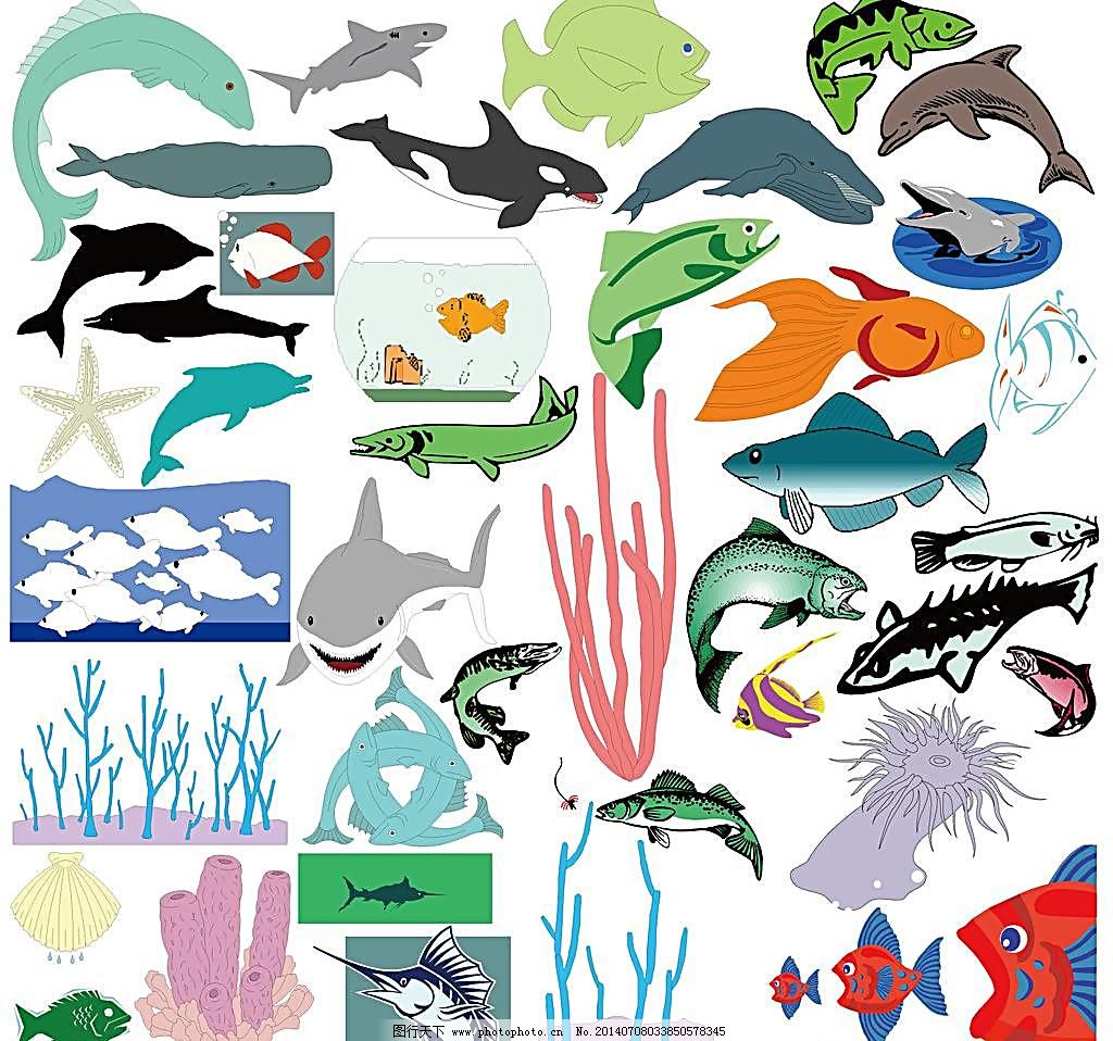 AI 版画 贝壳 底纹 雕刻 海底世界 海螺 海豚 海星 海洋生物 珊瑚海豚海星海底鱼群 贝壳 海底世界 垂头鲨 鲨鱼 螃蟹 金鱼 海螺 象贝 金枪鱼 斑马鱼 海鱼 海域 海底水世界 海洋生物 海洋鱼类 鱼群 蚌壳 虾 龙虾 鲸鱼 花纹 黑白图案 图腾 几何图案 自然纹理 贝壳纹 底纹 鱼纹 贝壳肌理 朱伊图案 版画 雕刻 铜板 装饰画 剑雨 基围虾 珊瑚 海豚 海星 动物图形元素 野生动物 生物世界 矢量 AI 图片素材