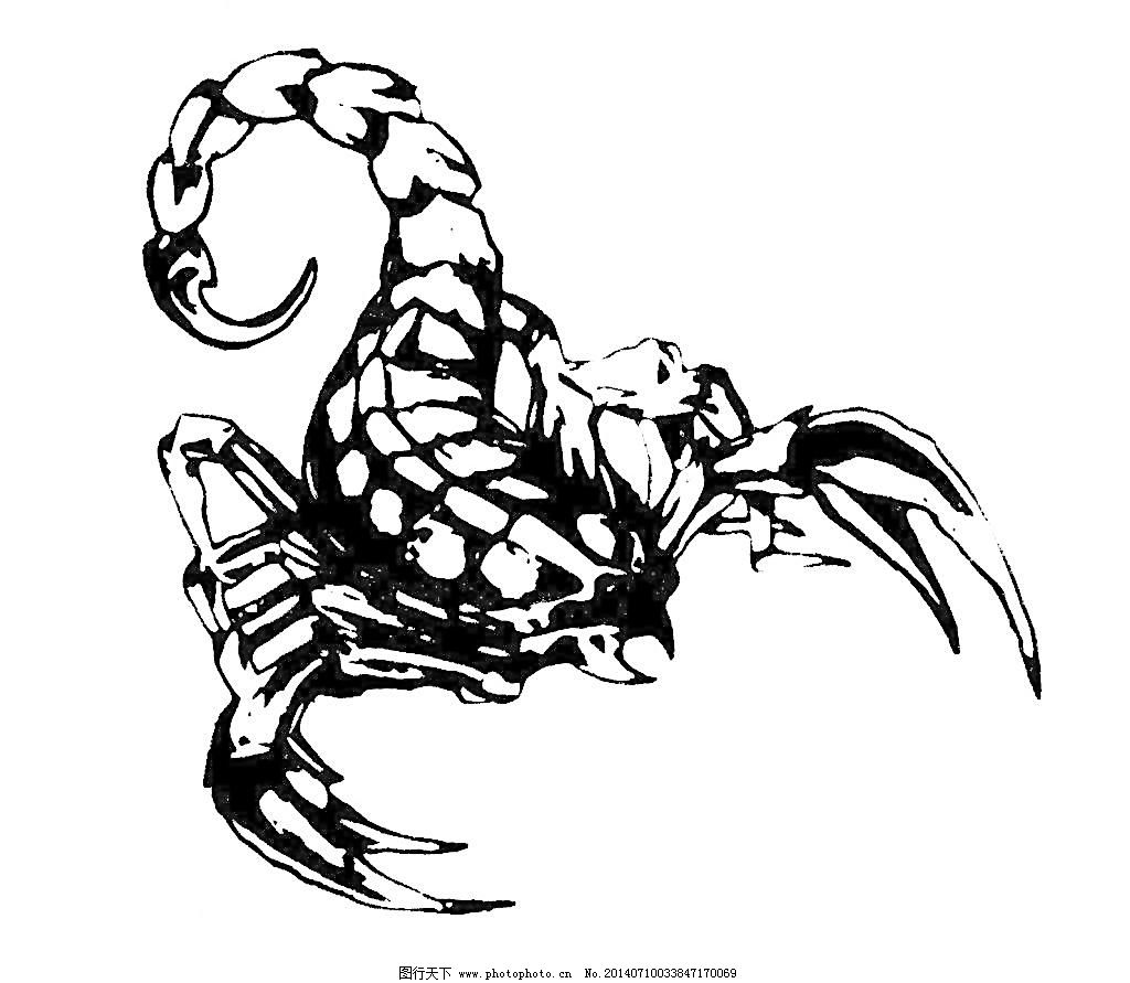 怎样素描画蝎子,一步一步画蝎子素描,怎样素描画蜘蛛_大山谷图库