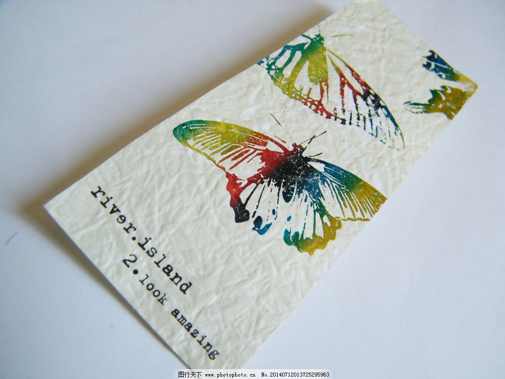 吊牌 文字 英文 动物 昆虫 免费素材