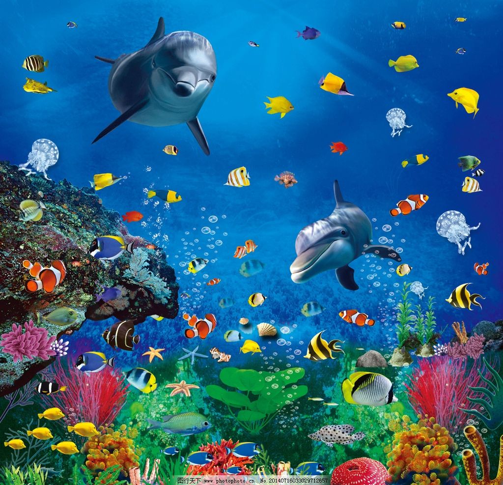 神秘色彩 海底世界生物壁纸_动物_太平洋科技