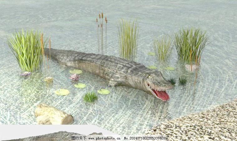 crocodile 鳄鱼高精模型,超大贴图