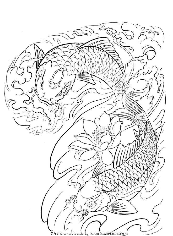 荷花红鲤鱼纹身图案内容图片分享