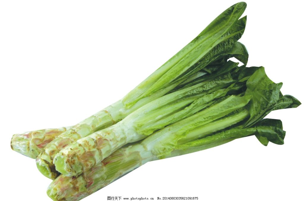 莴笋简笔画,时尚休闲椅,素材征集,圣诞节小报图片