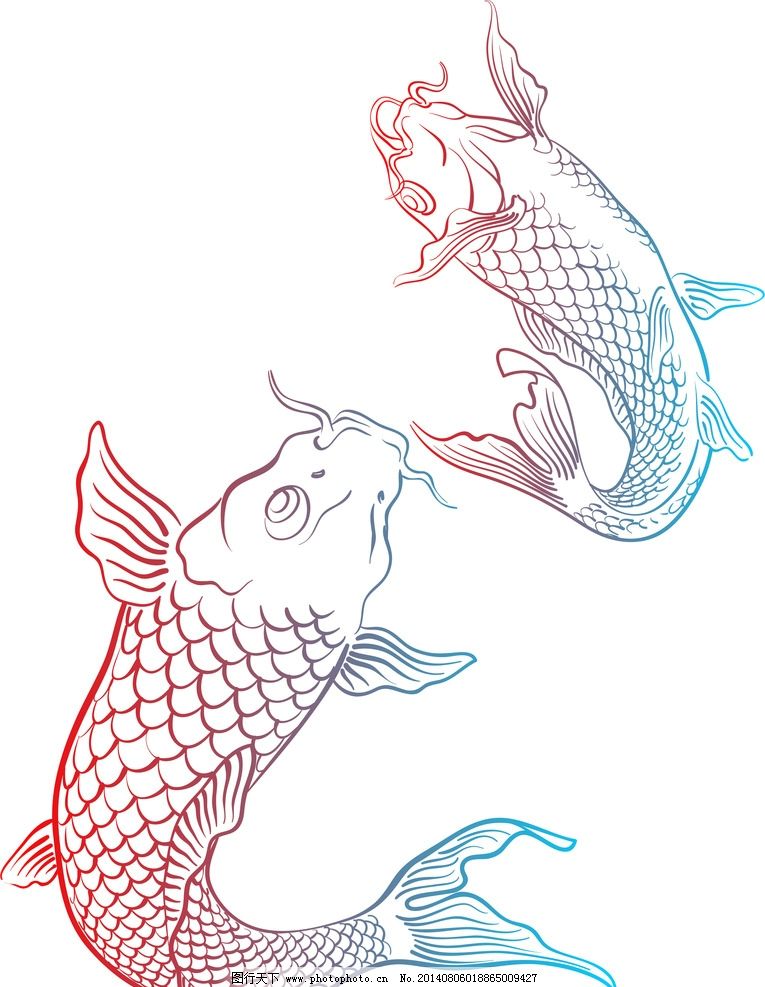 锦鲤鱼手绘