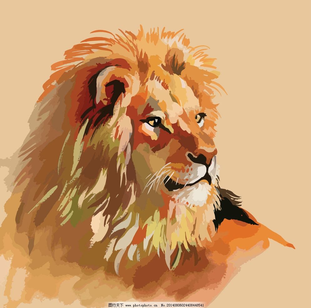 狮子 猫科动物 食肉动物 手绘 草原之王 野外 强