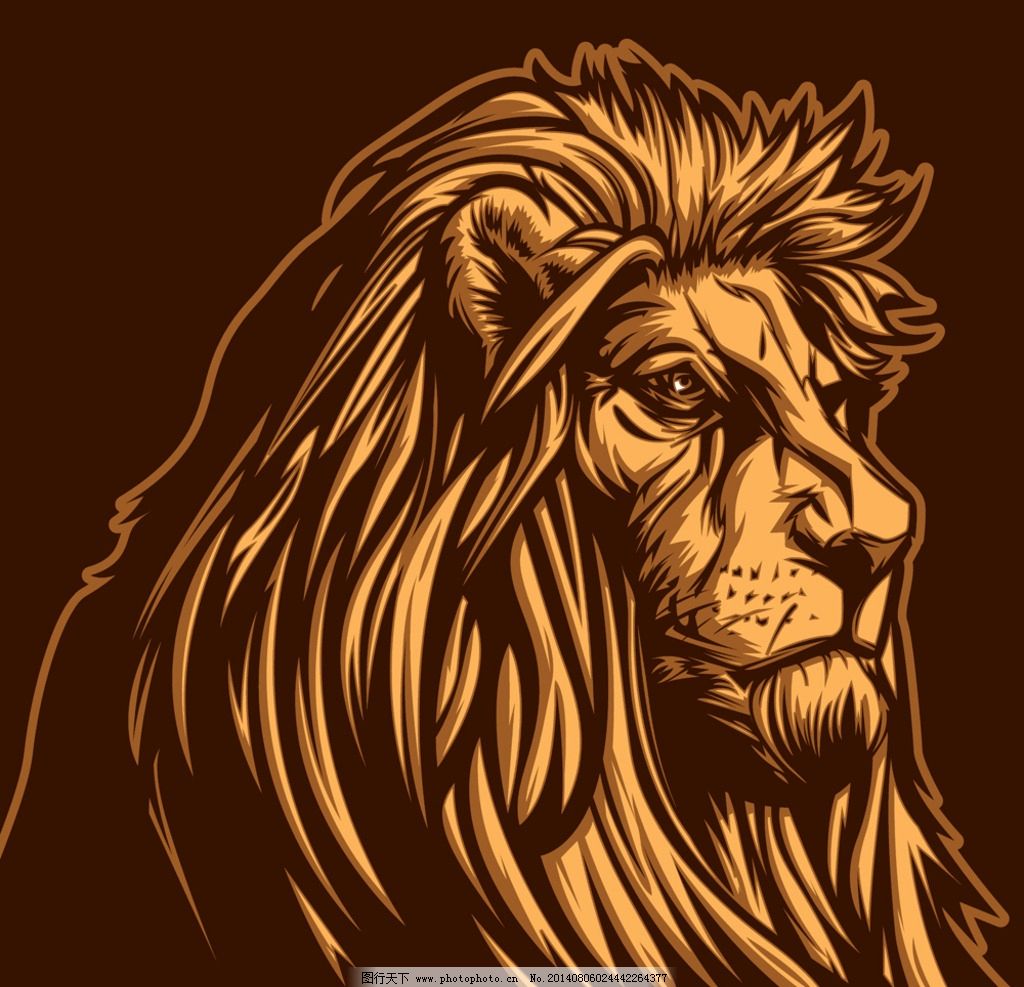 狮子 猫科动物 食肉动物 手绘 草原之王 野外 强