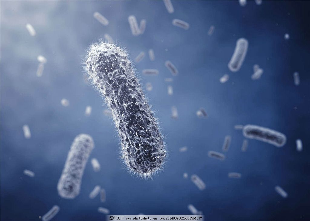 病毒是不是生物_病毒感染_病毒和细菌是生物吗