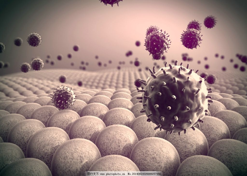 病毒图片