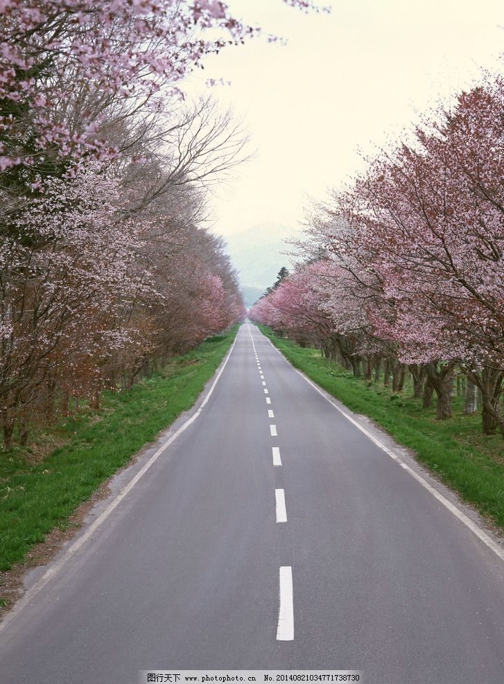 路的呼唤合唱谱