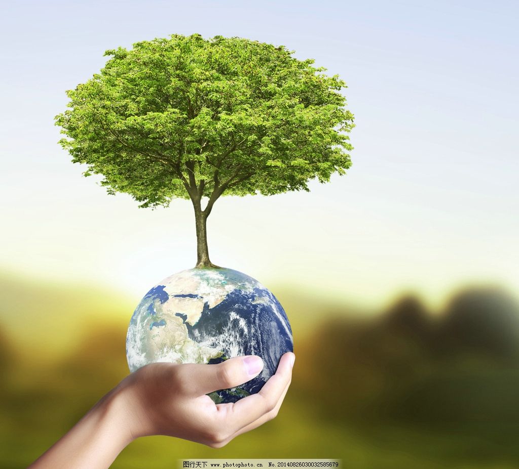 生态地球 生态 绿叶 绿色 树苗 树木 节能 能源 环保 eco 海报设计图片