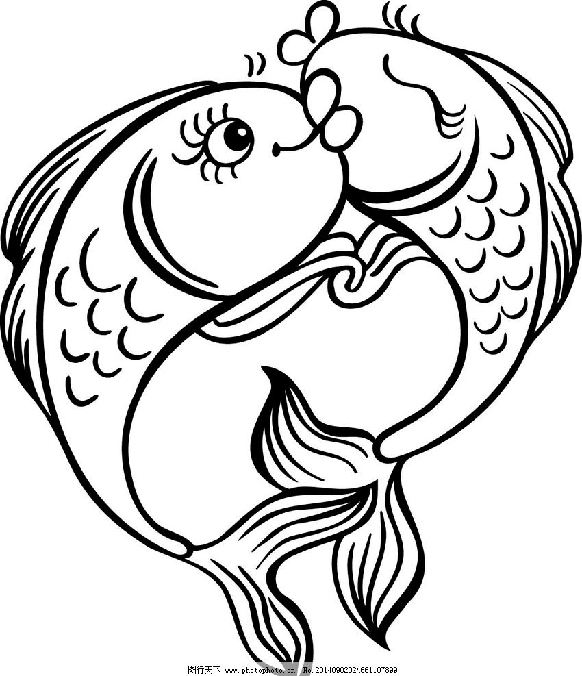 动物素材 鱼图片