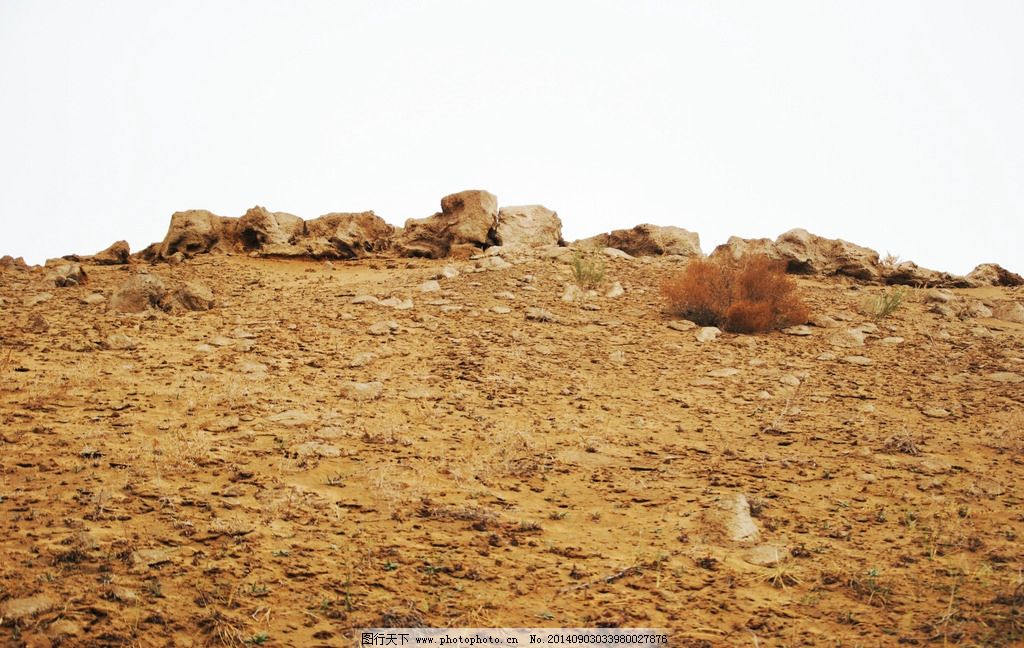 库布齐沙漠图片,沙漠风光 撒哈拉沙漠 干旱 大漠