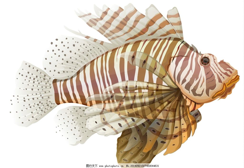 海洋生物 鱼 卡通鱼 海鲜 手绘 鱼类 海底素材 大海 海底世界图片图片