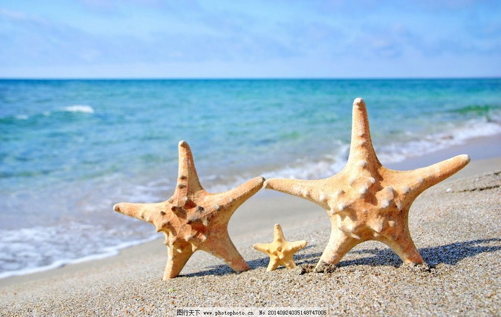 启源培训机构发展海星有什么好处