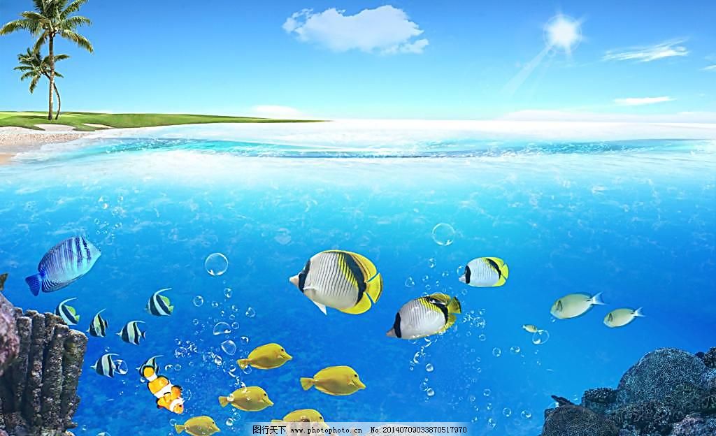 海洋图片免费下载,300DPI,psd,大海,广告设计模板,蓝天白云,蓝天白云大海,其他模版,洋,鱼类,源文件,洋,鱼类,蓝天白云,大海,蓝天白云大海,其他模版,广告设计模板,源文件,300DPI,PSD,图片素材,生物世界