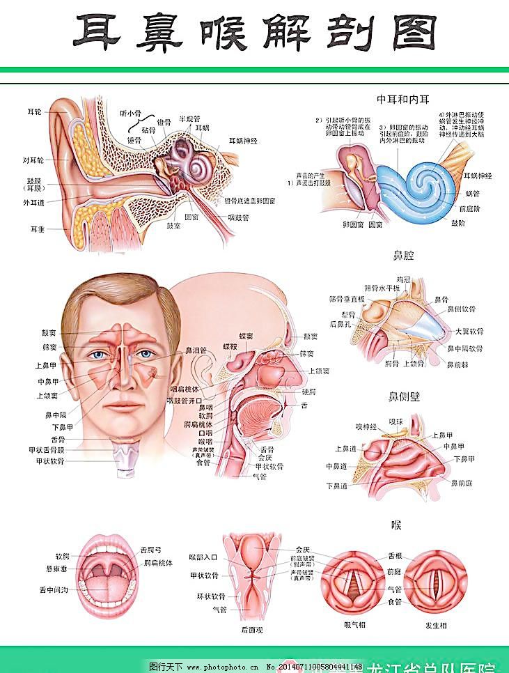 中醫耳鼻喉科學期末考試試題及答案