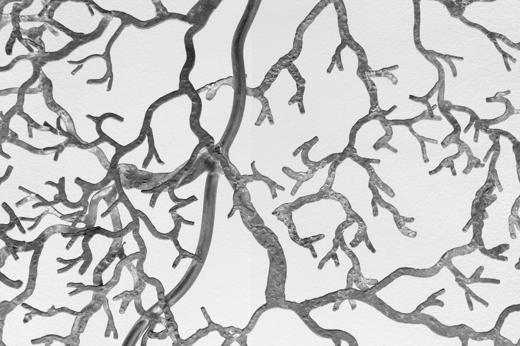 幼儿园树干树枝简笔画