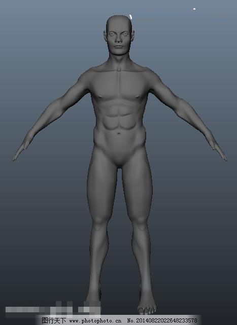 3d人体模型图片 3dvr素材 实拍视频 图行天下素材网