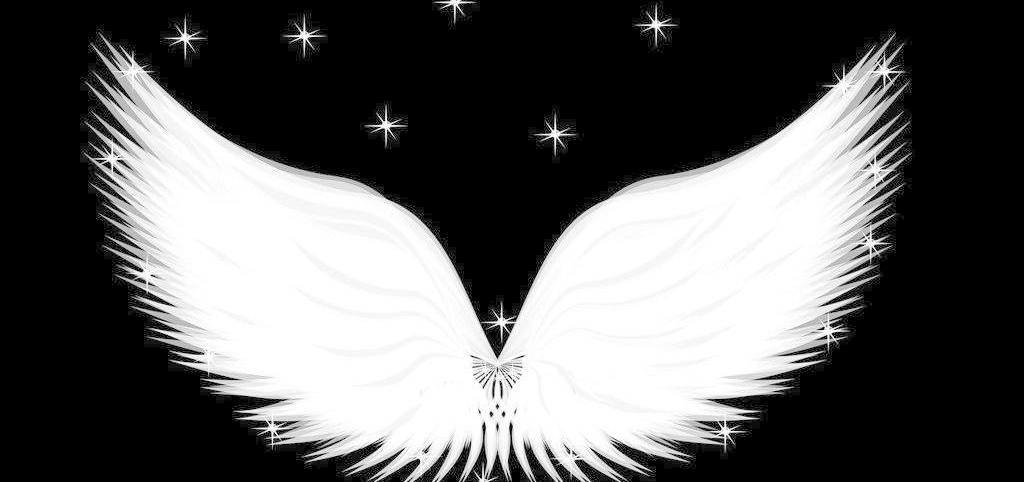 用幸福的翅膀拥抱未来——sk电讯品牌标识变更带来的启示