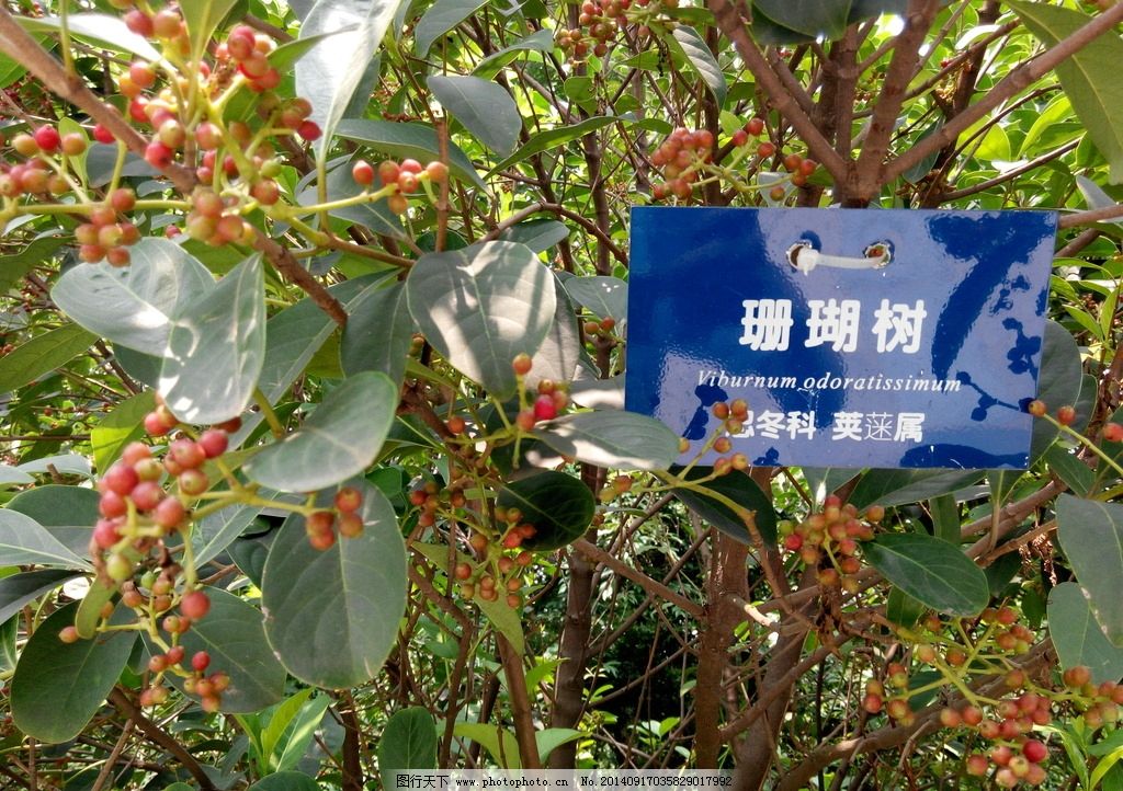 内容PG电子APP中公教育网